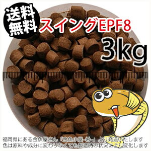 㐫/ۍgЂ߃XCOEPF8(8.0mm)3kgi(zցkEkCE͕ʓr800~^--^3)