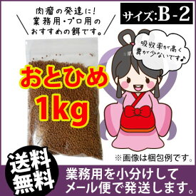 楽天市場 おとひめ B2の通販
