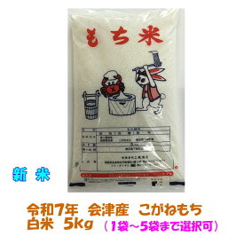 新米 令和7年産 会津 こがねもち 白米 5kg もち米 おこわ 1袋～5袋まで選択可 東北~関西 送料無料 モチ おもち 10キロ 5キロ もちごめ 送料込 【米販売店・業務用お断り 一般ご家庭専用】