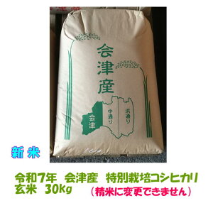 V  30kg ߘa7N ÎY ʍ͔| RVqJ  Δ FʑIʋ@  āEs k`֐ iƓs  30L  yĔ̔XEƖpf 