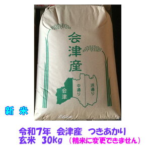 V  30kg ߘa7NY    Δ FʑIʋ@  ďs k`֐  iƓs   30L yĔ̔XEƖpf ʂƒpz