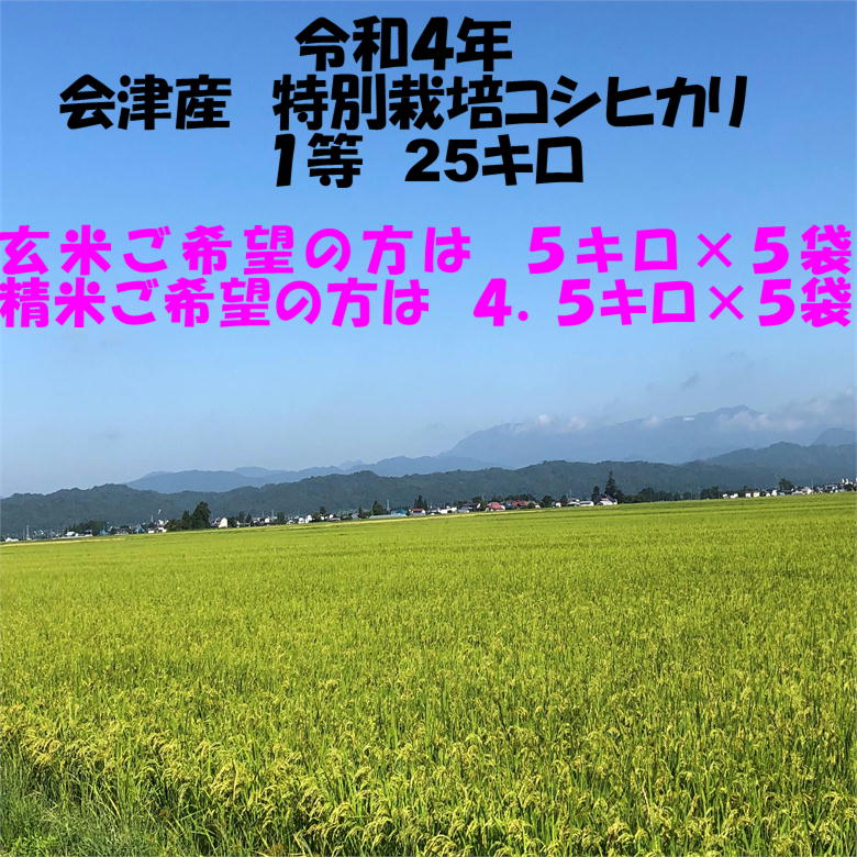 楽天市場】送料込み 令和５年 会津産 特別栽培 コシヒカリ 玄米 25kg
