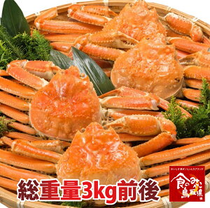 󂠂 拫`YVRgYCKjp y䥂ŁzՂ3kg(ŏグ2.5kgO) 4`8xy/Jj/Iz