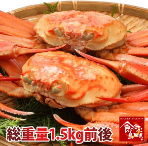 󂠂蒹拫`YVRgYCKjp y䥂Łz1.5kg(ŏグ1.2kgO)@2`4x y/Jj/Iz