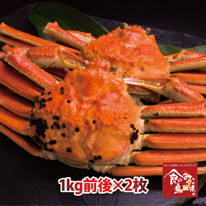 \󂠂菼tKj({C)TCY22kgO 1x (YCKj p 킢I 킢  Jj I)