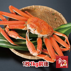 \󂠂菼tKj({C)TCY11kgO  1x(YCKj p 킢I 킢  Jj I)