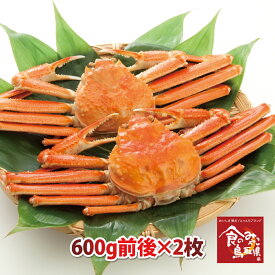 訳あり松葉ガニ(ボイル)中サイズ2枚1.2kg前後(活かに時)送料無料 1落ち程度(ズワイガニ 姿 ずわい蟹 ずわいがに かに カニ 蟹)