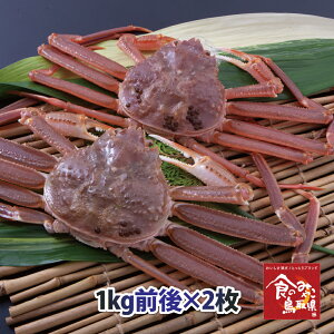 \󂠂菼tKj( )TCY22kgO@(킢I 킢 YCKj  Jj I t p hg)