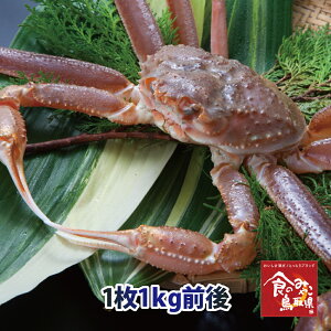 \󂠂菼tKj()TCY11kgO  1x (킢I 킢 YCKj  Jj I  t p hg)