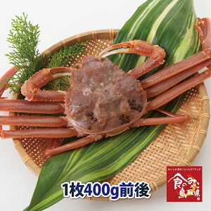 \󂠂菼tKj()TCY1400gO  1x (킢I 킢 YCKj  Jj I  t p hg)
