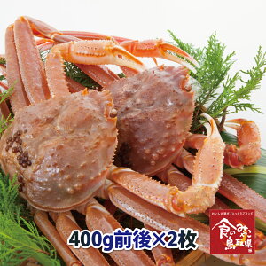 \󂠂菼tKj()TCY2800gO  1x (킢I 킢 YCKj  Jj I  t p hg)