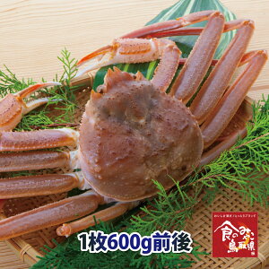 \󂠂菼tKj()TCY1600gO  1x (킢I 킢 YCKj  Jj I  t p hg)