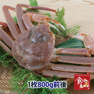 \󂠂菼tKj()TCY1800gO  1x (킢I 킢 YCKj  Jj I  t p hg)