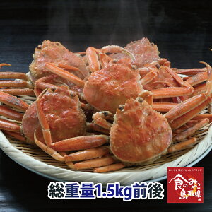 \󂠂ZRKj tKj̎()d1.5gO  (킢I 킢 YCKj  Jj I  Kj ؂ eKj t p)@NłȂ΃LZ