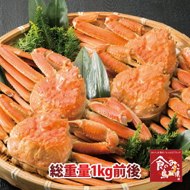 訳あり松葉ガニ(送料無料)総重量1kg前後（2〜4枚) 1落ち程度 活かボイルを選択して下さい(ズワイガニ 姿 ずわい蟹 ずわいがに かに カニ 蟹 刺身 生)