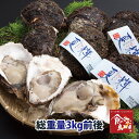 鳥取県産 タグ付きブランド天然岩がき　夏輝 約3kg詰め 5個〜10個程度(岩ガキ/岩牡蠣/カキ)送料無料 生食用 牡蠣