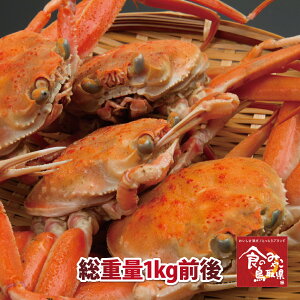 \󂠂ZRKjieKjjtKj̎(䥂)d1kgO (킢I 킢 YCKj  Jj I {C Kj ؂  t p)ł