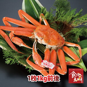 \^Ot㏼tKj({C)TCY11kgO (YCKj p 킢I 킢  Jj I)