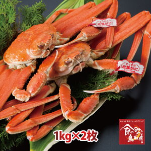 \^Ot㏼tKj({C)TCY22kgO  (YCKj p 킢I 킢  Jj I)