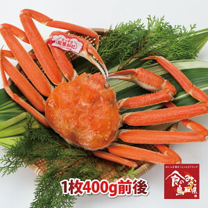 \^Ot㏼tKj({C)TCY1400gO (YCKj p 킢I 킢  Jj I)