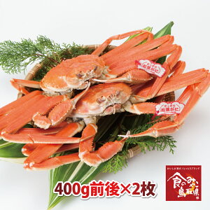 \ ^Ot㏼tKj({C)TCY2800gO (YCKj p 킢I 킢  Jj I)