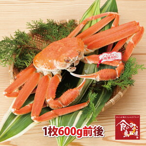 \^Ot㏼tKj({C)TCY1 Jj600gO㑗(YCKj p 킢I 킢  Jj I)