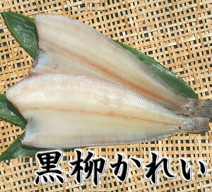 カレイ 高級 魚の人気商品 通販 価格比較 価格 Com