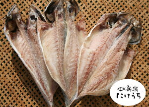 yԗDǃVbvzJ 3@FY... 葢花 Ⓚ g߂ȕւ     Ⓚ Y J  葢  Ђ  ̓ ̓Mtg