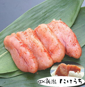 yԗDǃVbvzhqqi؎qj190g...h̒ɂ߂񂽂̎| Ⓚ g߂ȕւ̑