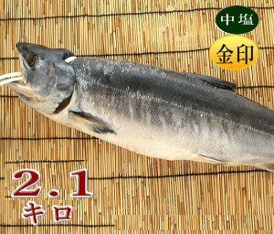 yԗDǃVbvz@{C2D1L...uv́@{̒ɗǎȂ̂ڗ肷i kCY VR H  V̓`@  Ⓚ 