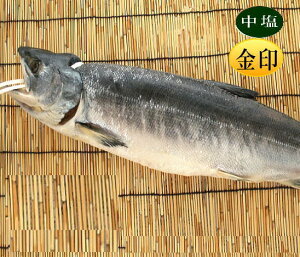 yԗDǃVbvz@{C2D5L... kCY VR H  V̓`@  Ⓚ 