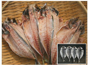 yԗDǃVbvzJ 4@FY... 葢花 Ⓚ g߂ȕւ     Ⓚ Y J  葢  Ђ  ̓ ̓Mtg