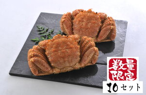 yԗDǃVbvz -519@уKj@2() kC}K уKj 400gO2 50Zbgт ъI  Jj  I kCY kCO Zbg CN p j Mtg 