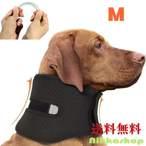 ViI T|[^[  ^ ^ ŃT|[^[ Xvg  x RZbg J[ wjA T|[^[ MTCY nr  ybgpPApi ܎ V 