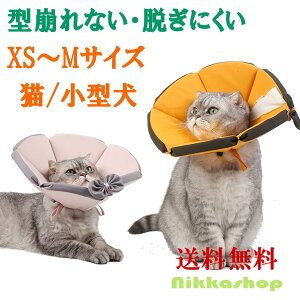 yyVLO1ʎ܁zGUxXJ[  L uAg^ L ^Ȃ Eɂ NbV z _炩 y ߉\ XS`MTCY rߖh~ ~h~ ی 