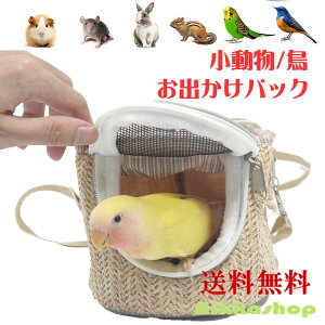  L[ obO ҂݃obO | K|[` nX^[LAobO nX^[AETMAbgAXAtFbg̃|[^uobO y U o