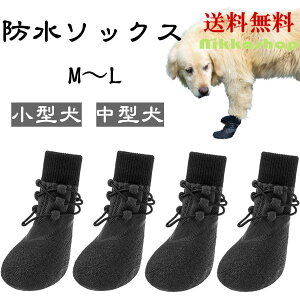 yyVLO1ʎ܁z C ~ }WbNe[v p\bNX V[Y V VjA   ₷ CRt O  O U y ₷ 