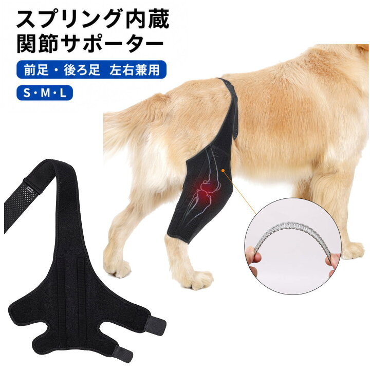 楽天市場】犬 サポーター 関節サポーター 前足 後ろ足 左右兼用 