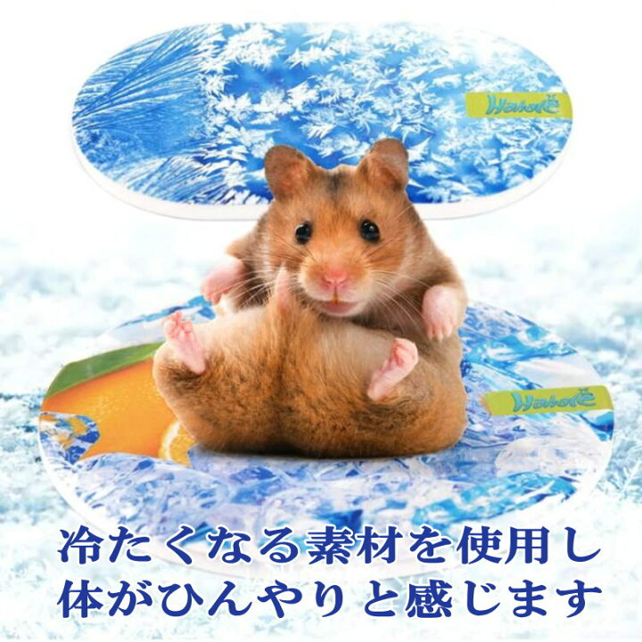 楽天市場 小動物用ベッド ひんやりマット 冷却マット 接触冷感 暑さ対策 熱中症対策 夏用 洗える ハムスター ウサギ モルモット ラビット 小動物用 ひんやり 涼しい メール便送料無料 Nikkashop