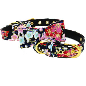 Z[50OFFp J[  a { ȒP y \ JWA iXS-MTCYj^ ^ hbOJ[ [֑