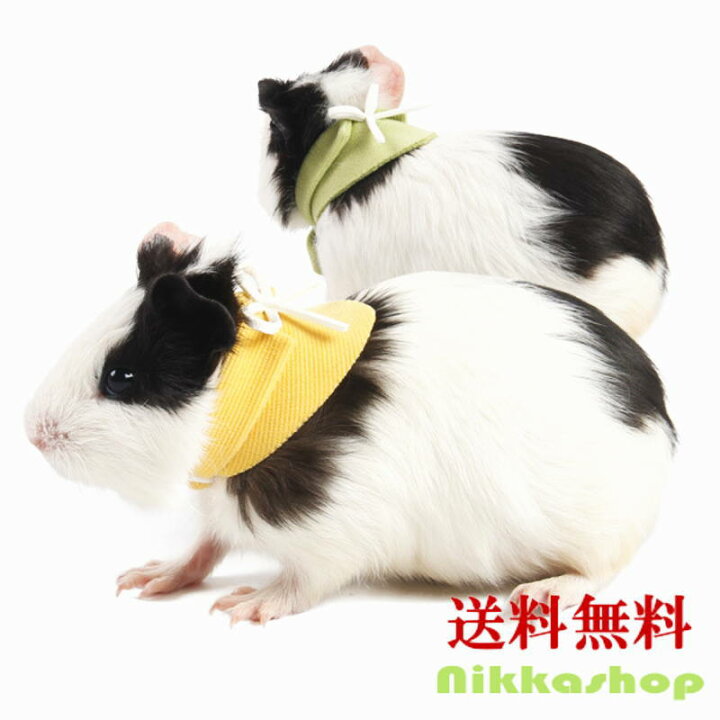 楽天市場 小動物用 スカーフ バンダナ よだれかけ カラー ドックアクセサリー 調節可能 オシャレ かわいい ハムスター モルモット 矮小ウサギ メール便送料無料 Nikkashop 楽天市場 小動物用 スカーフ バンダナ よだれかけ カラー ドックアクセサリー 調節可能 オシャレ かわいい ハムスター モルモット 矮小ウサギ メール便送料無料 Nikkashop