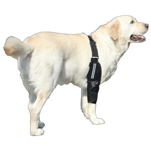 <新商品!>犬 肘サポーター 左前足用 右前足用 靭帯 脱臼 保護 猫 小型犬 中型犬 大型犬 関節サポーター 関節プロテクター 膝サポーター 関節保護 ひじ タコ 対策 前足 サポーター 老犬