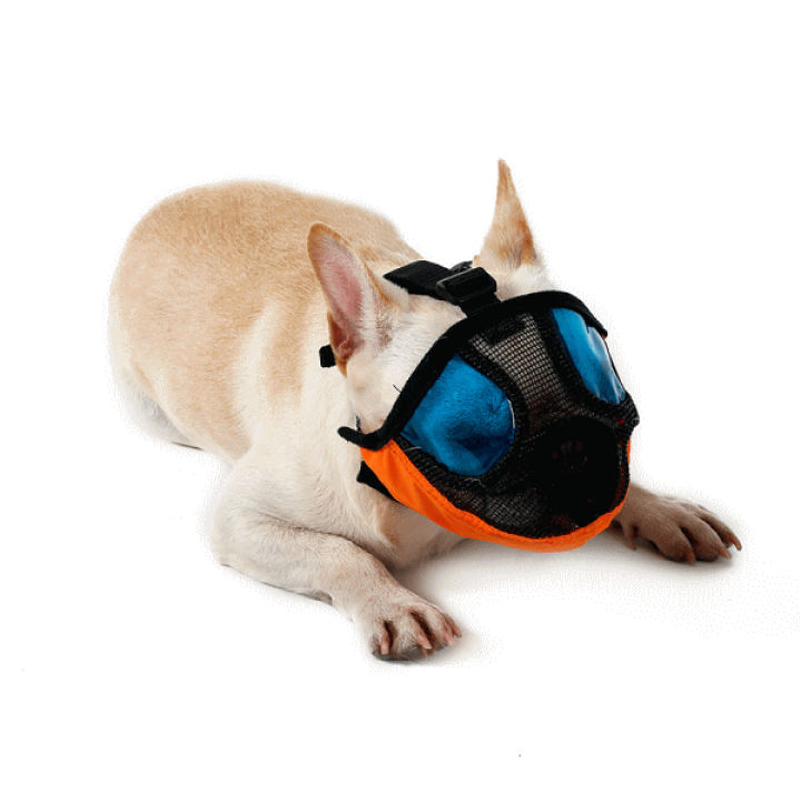 楽天市場】☆セール50％OFF☆口輪 犬 かみつき防止 無駄吠え防止 鼻
