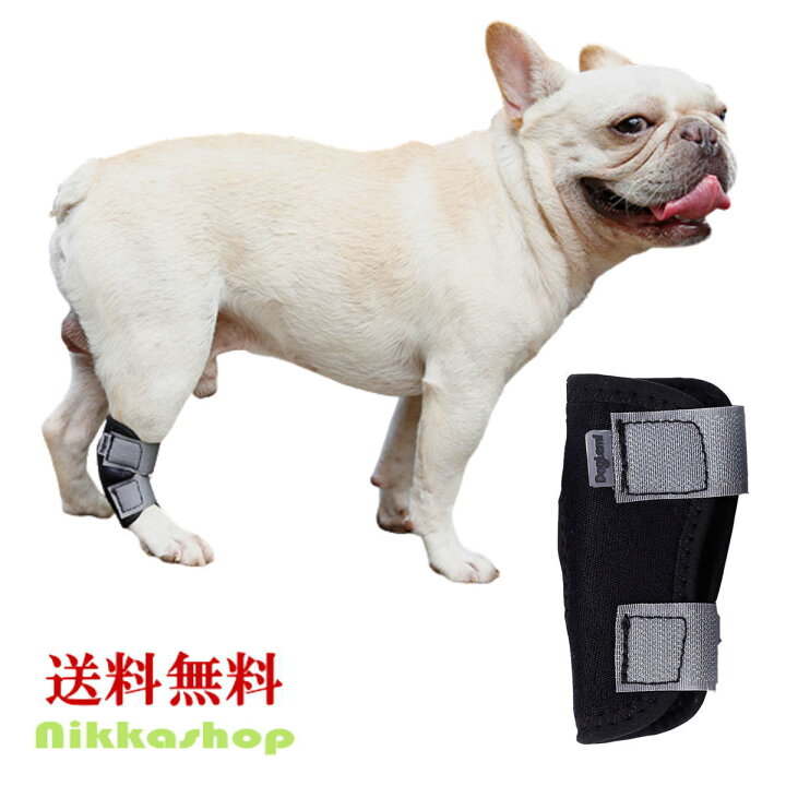 楽天市場 関節プロテクター 犬用膝サポーター ショット ペット用ケア用品 犬骨折治療 老犬介護 介護用品 シニア 肘当て 床ずれ 腕 肘 老犬 老齢犬 犬用介護用品 メール便送料無料 Nikkashop 楽天市場 関節プロテクター 犬用膝サポーター ショット ペット用ケア用品 犬骨折治療 老犬介護 介護用品 シニア 肘当て 床ずれ 腕 肘 老犬 老齢犬 犬用介護用品 メール便送料無料 Nikkashop