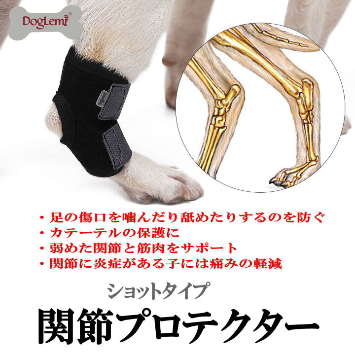 楽天市場 関節プロテクター 犬用膝サポーター ショット ペット用ケア用品 犬骨折治療 老犬介護 介護用品 シニア 肘当て 床ずれ 腕 肘 老犬 老齢犬 犬用介護用品 メール便送料無料 Nikkashop 楽天市場 関節プロテクター 犬用膝サポーター ショット ペット用ケア用品 犬骨折治療 老犬介護 介護用品 シニア 肘当て 床ずれ 腕 肘 老犬 老齢犬 犬用介護用品 メール便送料無料 Nikkashop