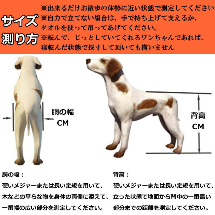 楽天市場】【楽天ランキング1位受賞】犬用 車椅子 4輪 XL 大型犬用 