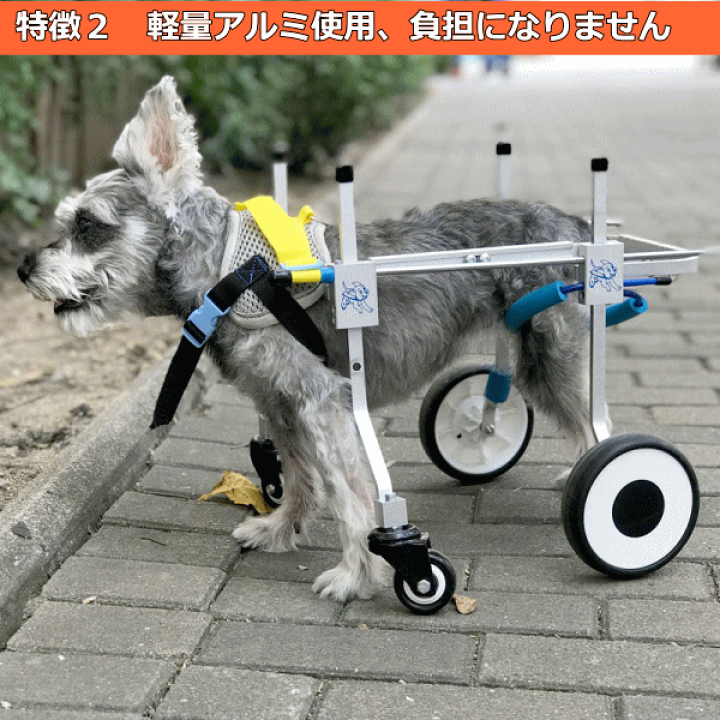 年のクリスマス 犬の車椅子 犬用品 Uim Makassar Ac Id