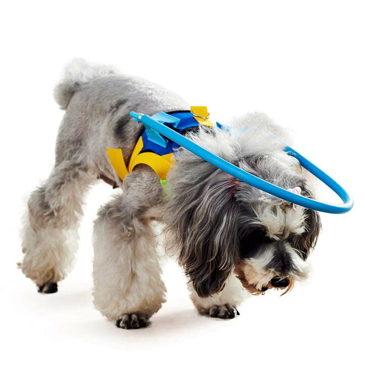 楽天市場 ペット用盲目リング フェイスガード セーフリング 盲犬杖 衝突防止 Xxs Lサイズ 犬 猫 老犬 高齢犬 目の不自由 白内障 視覚障害 宅配便送料無料 Nikkashop 楽天市場 ペット用盲目リング フェイスガード セーフリング 盲犬杖 衝突防止 Xxs Lサイズ 犬 猫 老犬 高齢犬 目の不自由 白内障 視覚障害 宅配便送料無料 Nikkashop