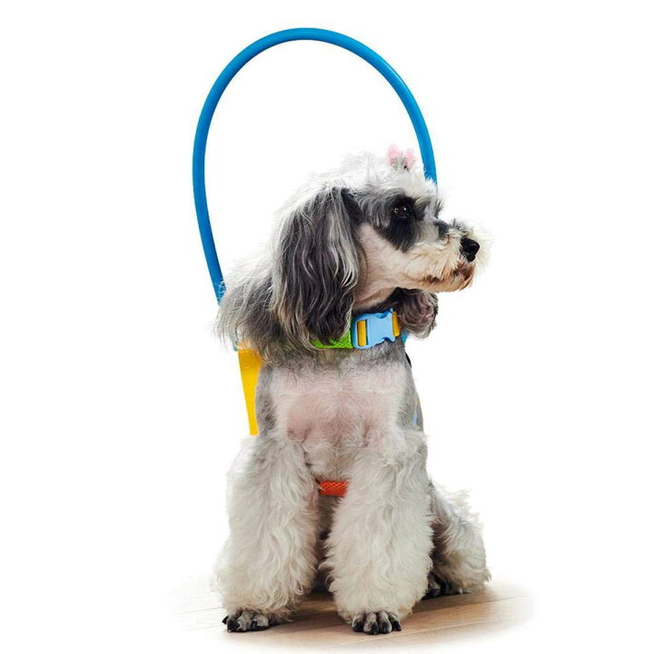 楽天市場 ペット用盲目リング フェイスガード セーフリング 盲犬杖 衝突防止 Xxs Lサイズ 犬 猫 老犬 高齢犬 目の不自由 白内障 視覚障害 宅配便送料無料 Nikkashop