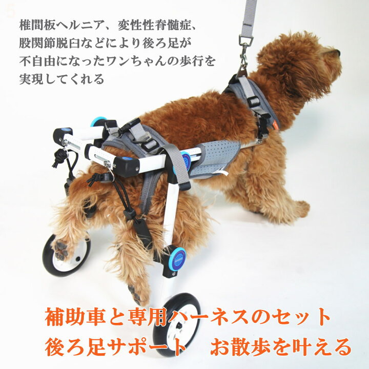 市場 Lサイズ 車椅子 リハビリ用 後脚サポート ペット車椅子 歩行器 犬 中型 歩行補助 介護ハーネスセット 大型犬 2輪 市場 Lサイズ 車椅子 リハビリ用 後脚サポート ペット車椅子 歩行器 犬 中型 歩行補助 介護ハーネスセット 大型犬 2輪
